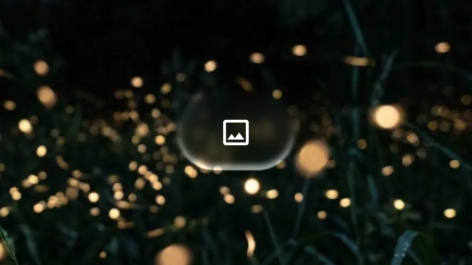 Input image — fireflies